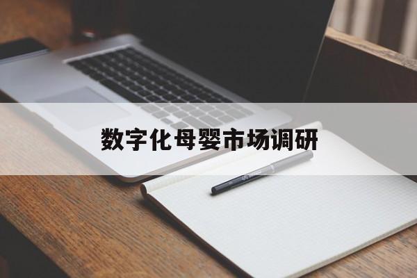 梅州市数字化母婴市场调研(数字化母婴市场调研报告)
