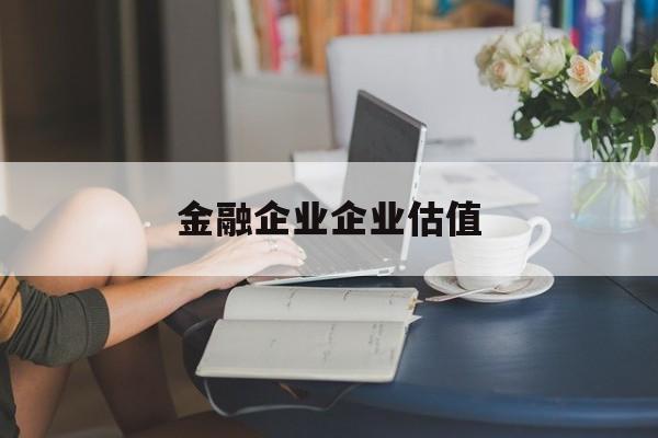 梅州市金融企业企业估值(最新企业估值怎么填)